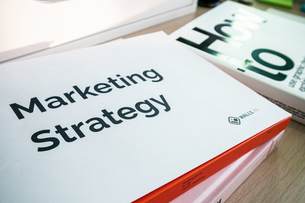 Google Ads o SEO Esto te dice un experto en Google Ads