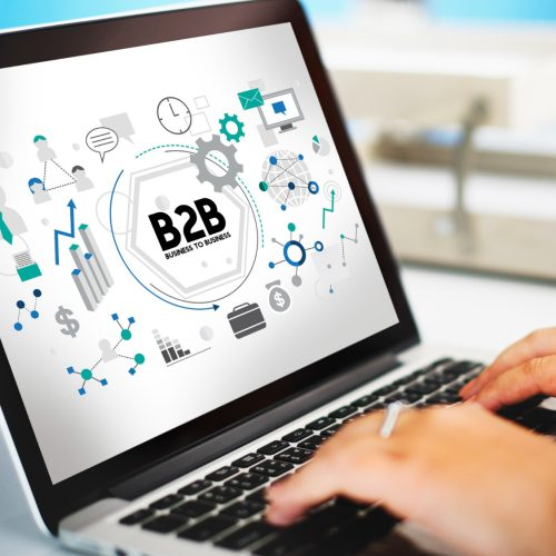 B2B vs. B2C en Google Ads Diferencias clave según un experto