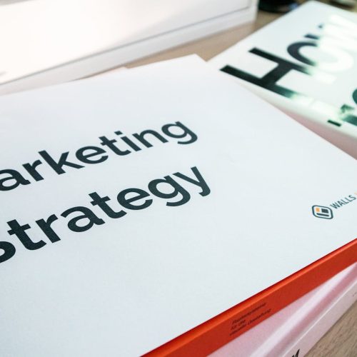 Google Ads o SEO Esto te dice un experto en Google Ads