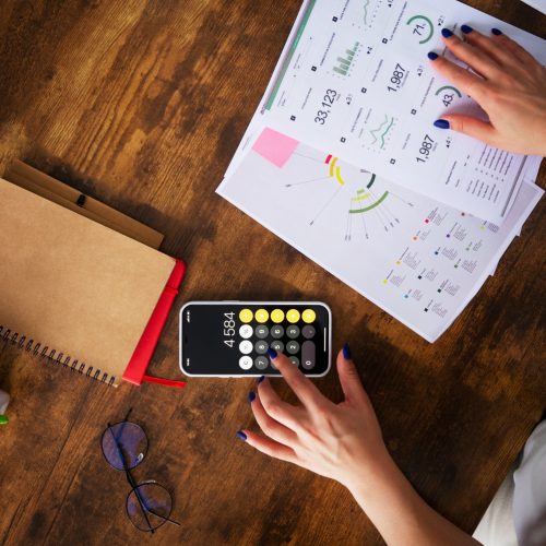 Optimización de Presupuestos Publicitarios con un Especialista SEM